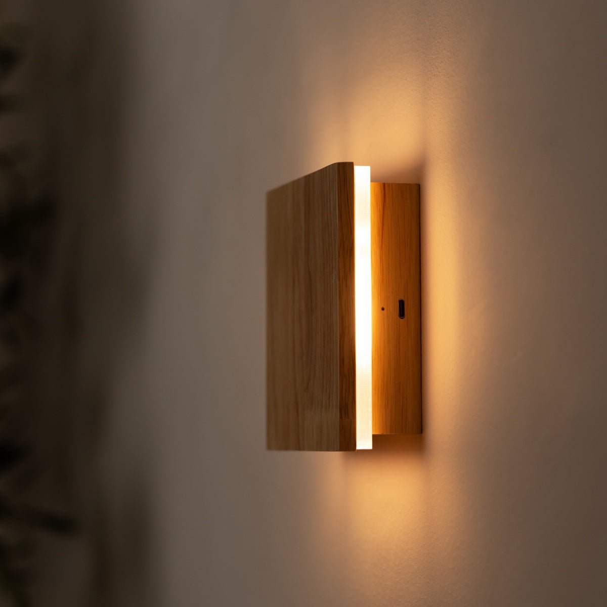 Lane Light Bruin Draadloze wandlamp